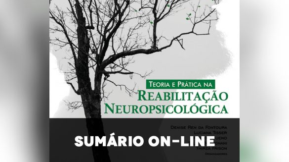 Sumário: Teoria e Prática na Reabilitação Neuropsicológica
